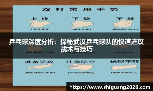 乒乓球深度分析：探秘武汉乒乓球队的快速进攻战术与技巧
